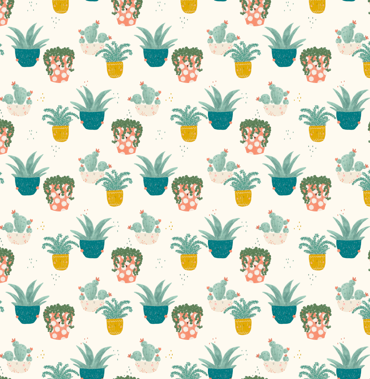 Jersey - Sukkulenten