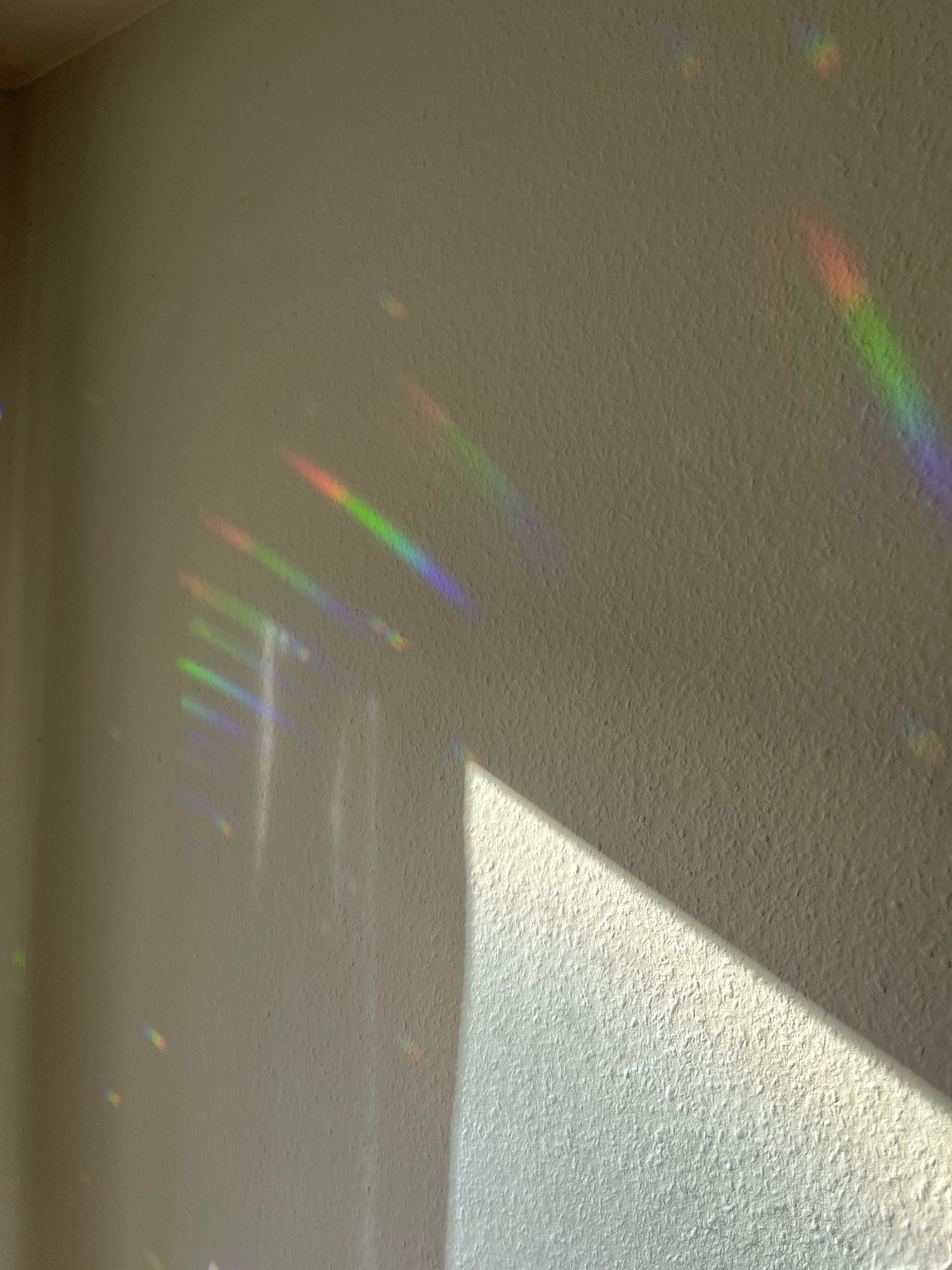 Sun Catcher - Regenkollegen