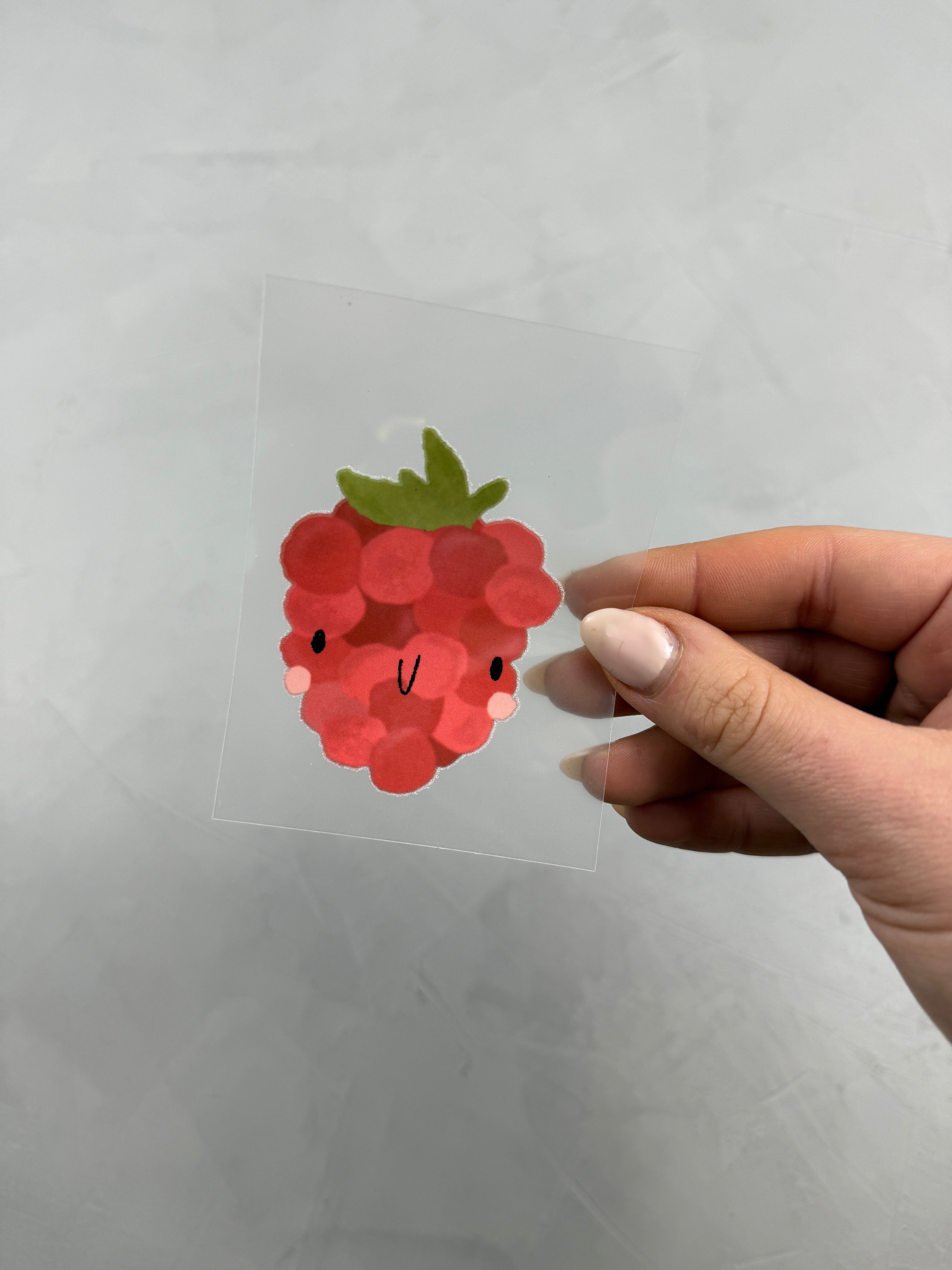 kleines Bügelbild - Him und weg