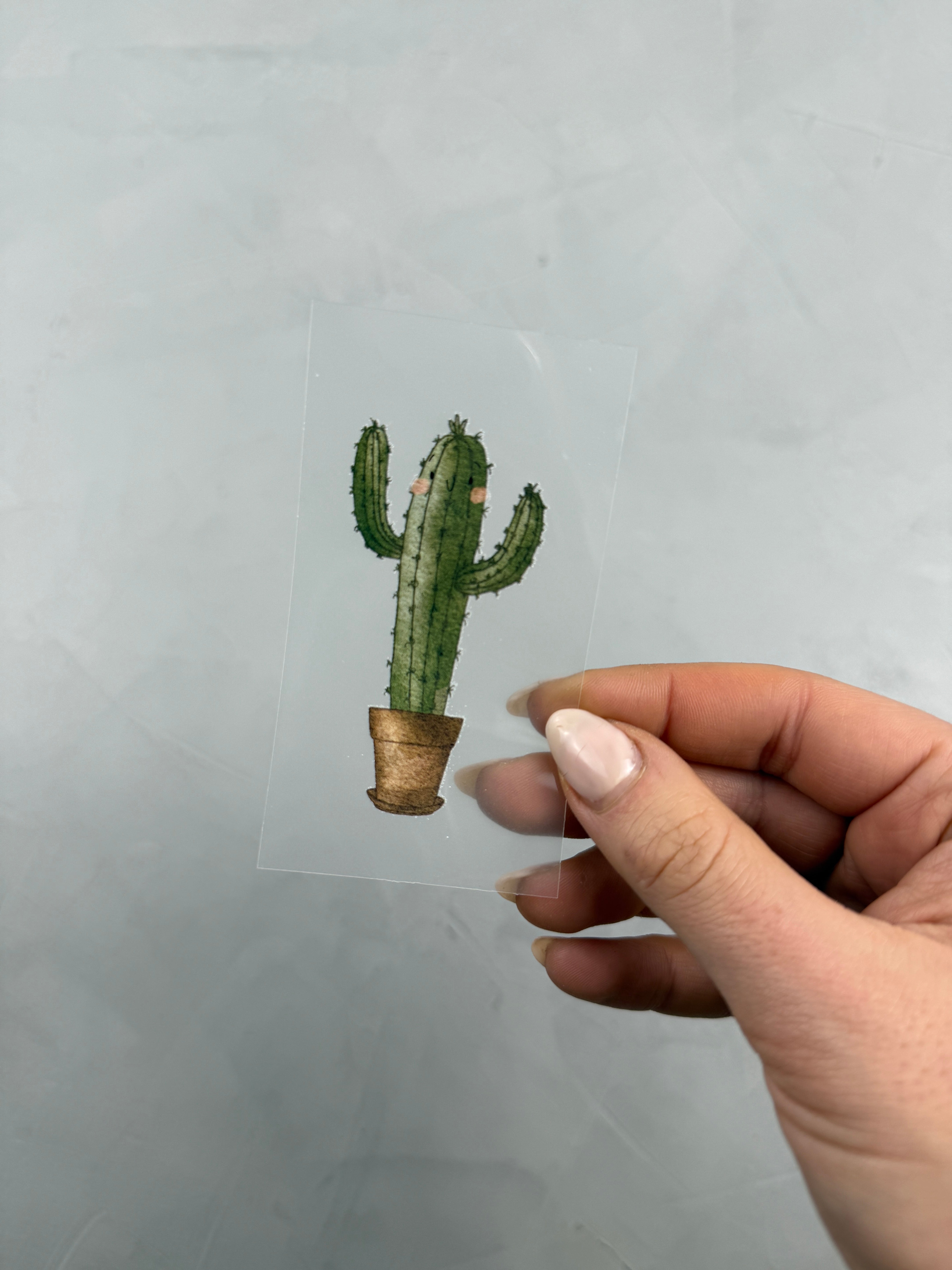 kleines Bügelbild - kleiner Kaktus