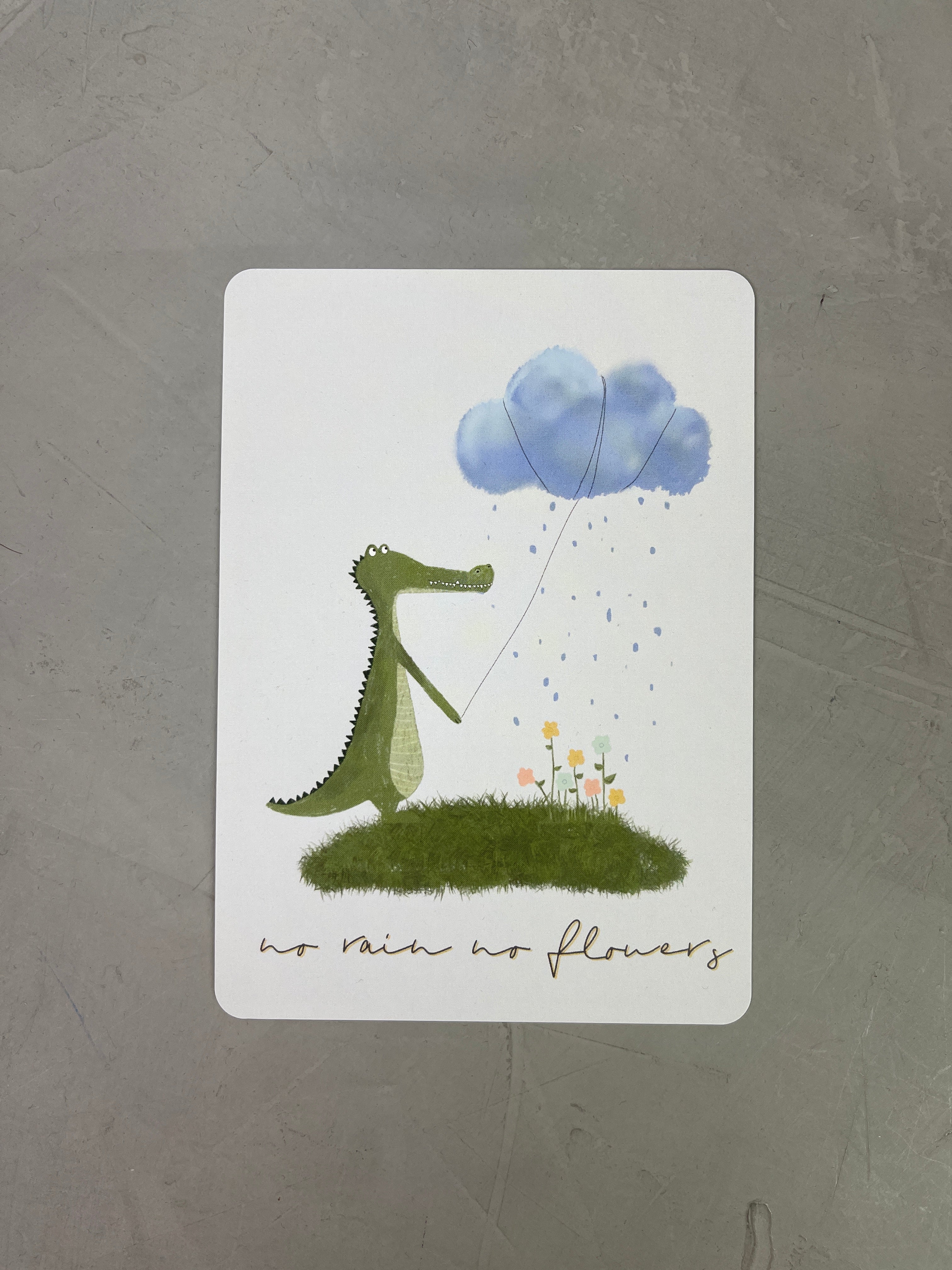 no rain no flowers