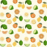 Lime Time - Jersey