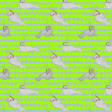 UV-Stoff - Flossenfreunde