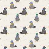 French Terry - Taubentrupp