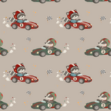 French Terry - Flotte Flitzer