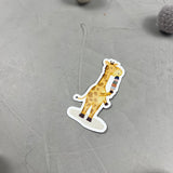 großer Magnet - Eisberg voraus