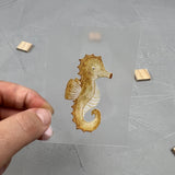 kleines Bügelbild - Schwimm aus der Reihe