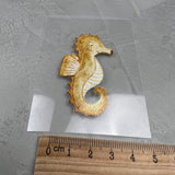 kleines Bügelbild - Schwimm aus der Reihe