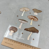 Bügelbildbogen - Familie Pilz