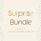 Surprisebundle - Obst- & Insekten