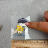 kleines Bügelbild - Ameisenbär im Regen