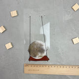 großes Bügelbild - Mond