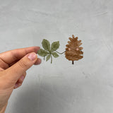 kleines Bügelbild - Tannenzapfen und Blätter/Fall in love