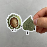 XXL Sticker - Kastanie und Blätter/Fall in love